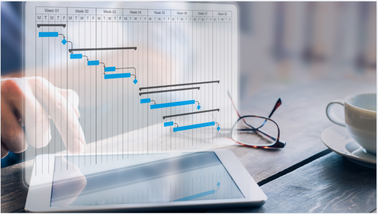 What Is ISO 21502? A Guide to Project Management Standards