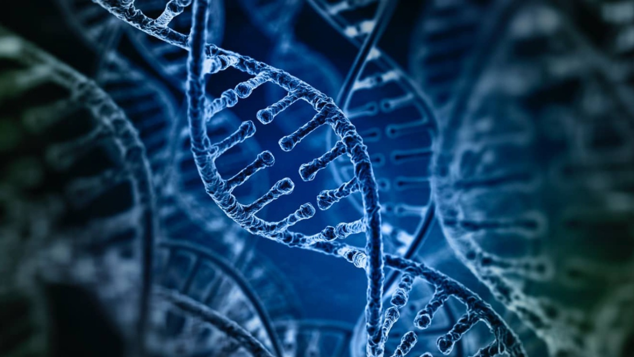 CRISPR: Gene-editing Applications - Harvard Online Course