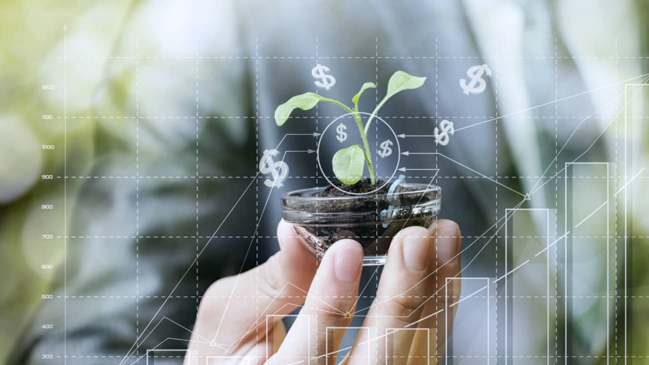 How Technology Is Driving Business Sustainability Strategy