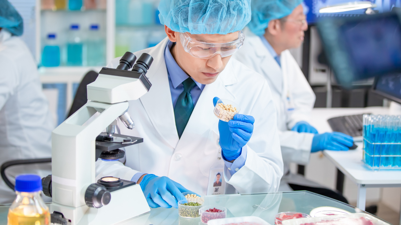 How to Improve Food Safety with ISO 22000