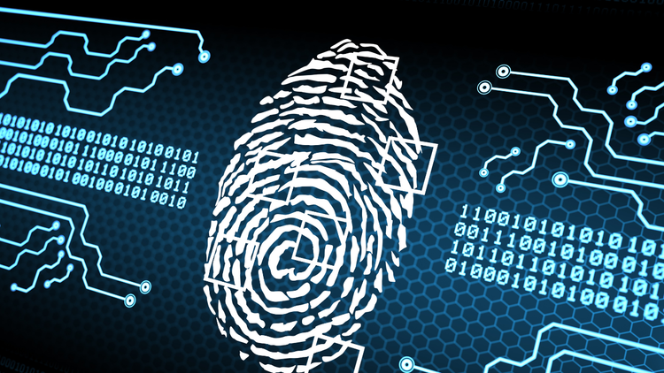 What Is Digital Forensics? Types, Process, Careers & Certifications