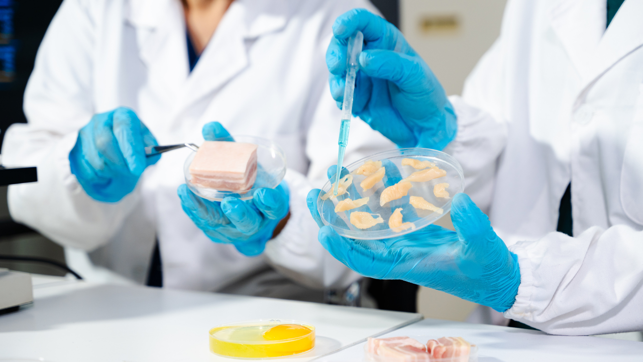 Food Safety Management Systems Training & Certifications (ISO 22000)