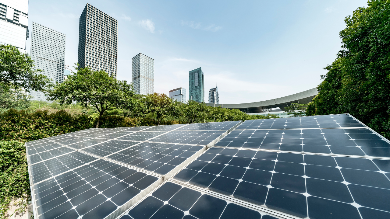 Sustainability Training & Certifications